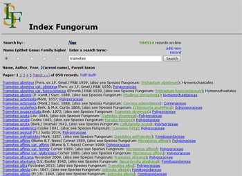 Image of Index Fungorum search page.