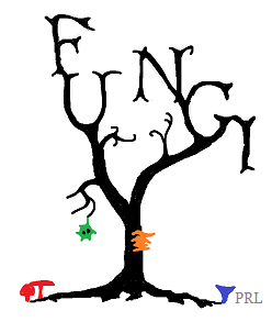 cartoon of fungi tree