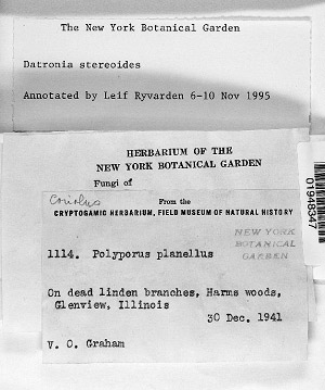 Photo of specimen label.