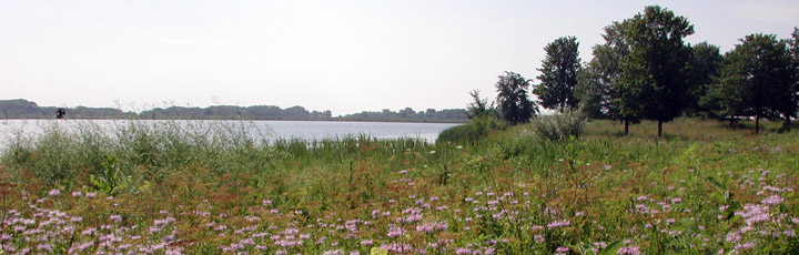 View of lake and prairie.