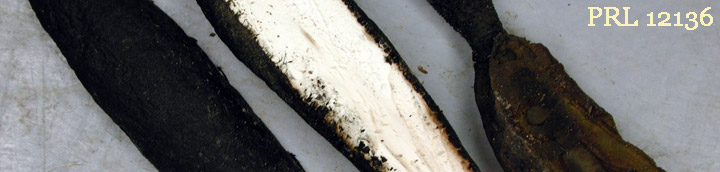 View of black outside and white inside of Xylaria.
