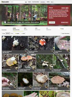 Image of web page.