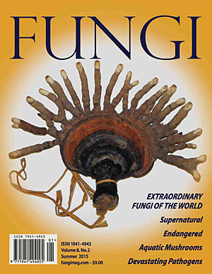 Image of cover.