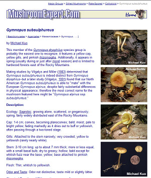 Image of web page.