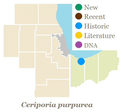 Map of Chicago Region counties.