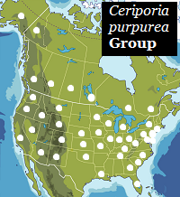 Map of North America, states and provinces.